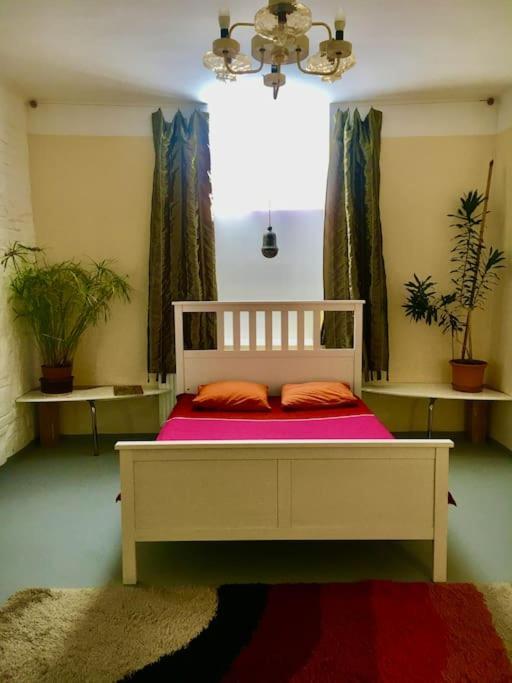 Vintage Studio Apartment, Garden And Free Parking ブダペスト エクステリア 写真