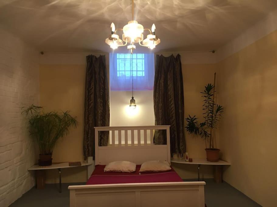 Vintage Studio Apartment, Garden And Free Parking ブダペスト エクステリア 写真
