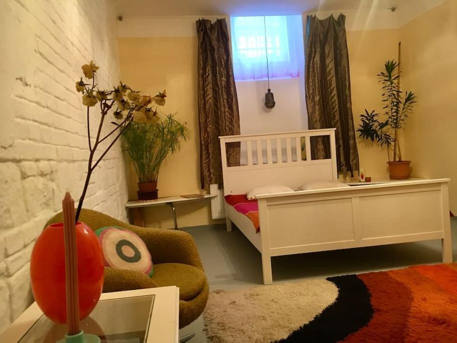 Vintage Studio Apartment, Garden And Free Parking ブダペスト エクステリア 写真
