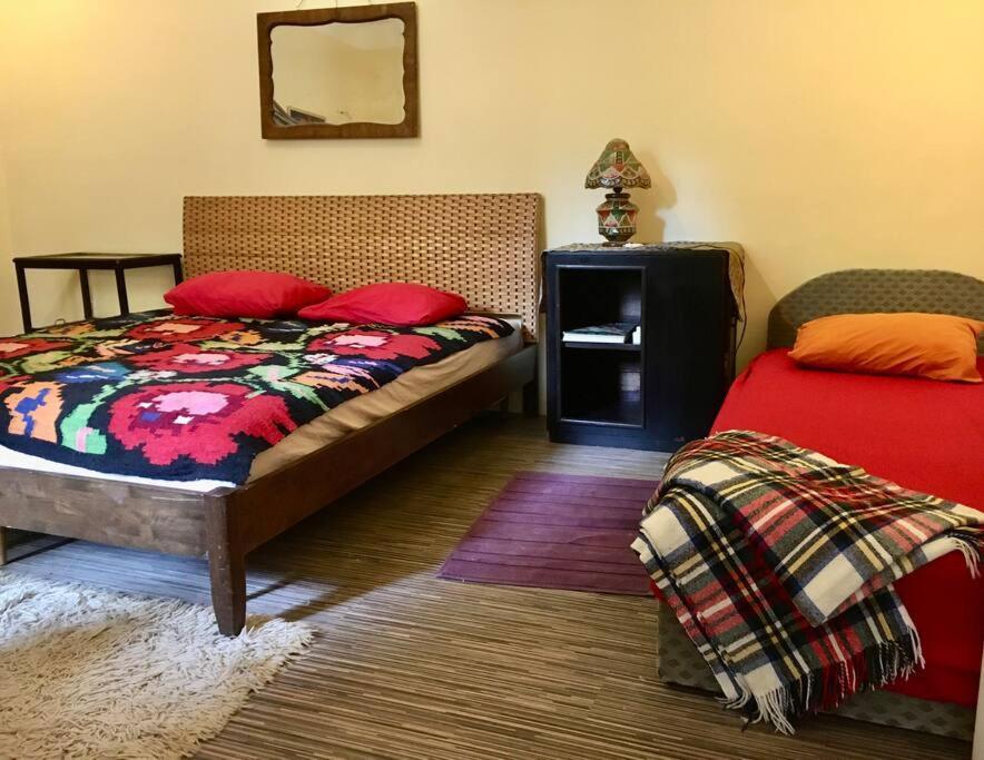 Vintage Studio Apartment, Garden And Free Parking ブダペスト エクステリア 写真