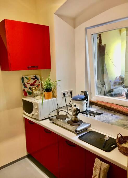 Vintage Studio Apartment, Garden And Free Parking ブダペスト エクステリア 写真