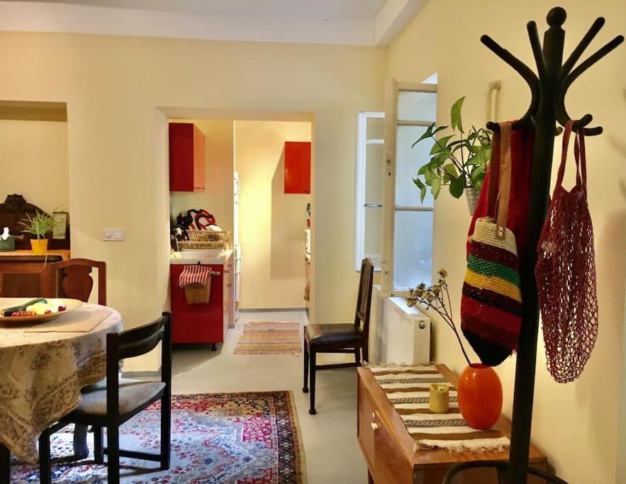 Vintage Studio Apartment, Garden And Free Parking ブダペスト エクステリア 写真