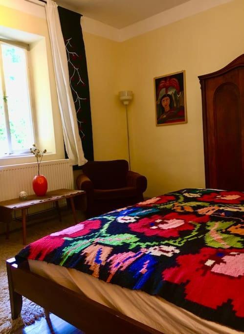 Vintage Studio Apartment, Garden And Free Parking ブダペスト エクステリア 写真