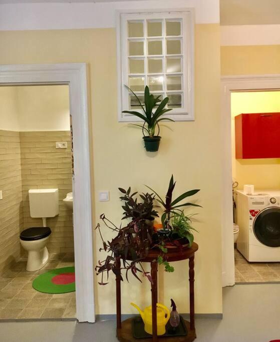 Vintage Studio Apartment, Garden And Free Parking ブダペスト エクステリア 写真