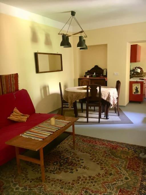 Vintage Studio Apartment, Garden And Free Parking ブダペスト エクステリア 写真