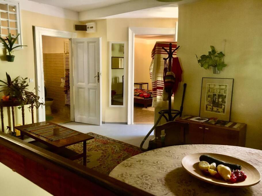 Vintage Studio Apartment, Garden And Free Parking ブダペスト エクステリア 写真