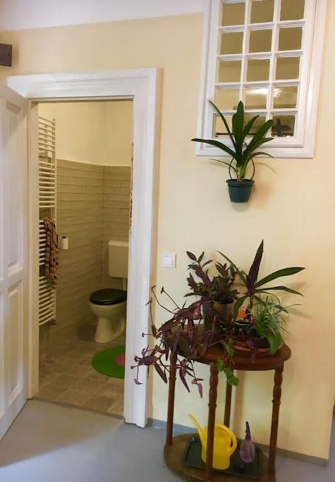 Vintage Studio Apartment, Garden And Free Parking ブダペスト エクステリア 写真